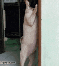 200w (11).gif