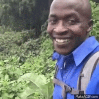 200w (4).gif
