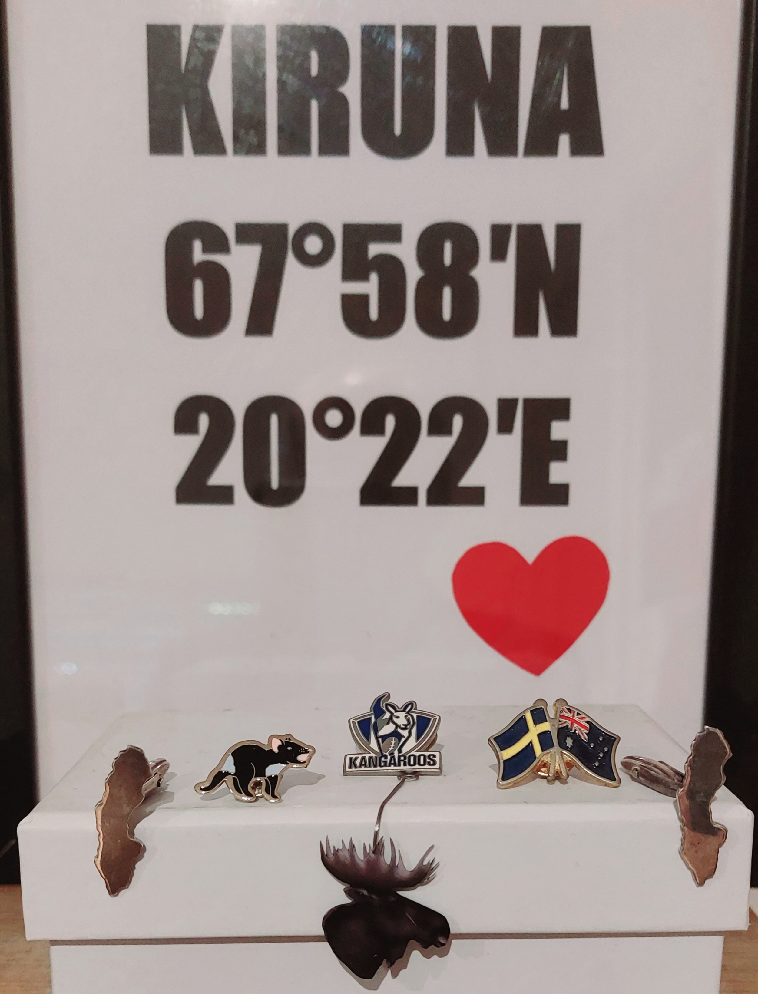 20230404_082627.jpg