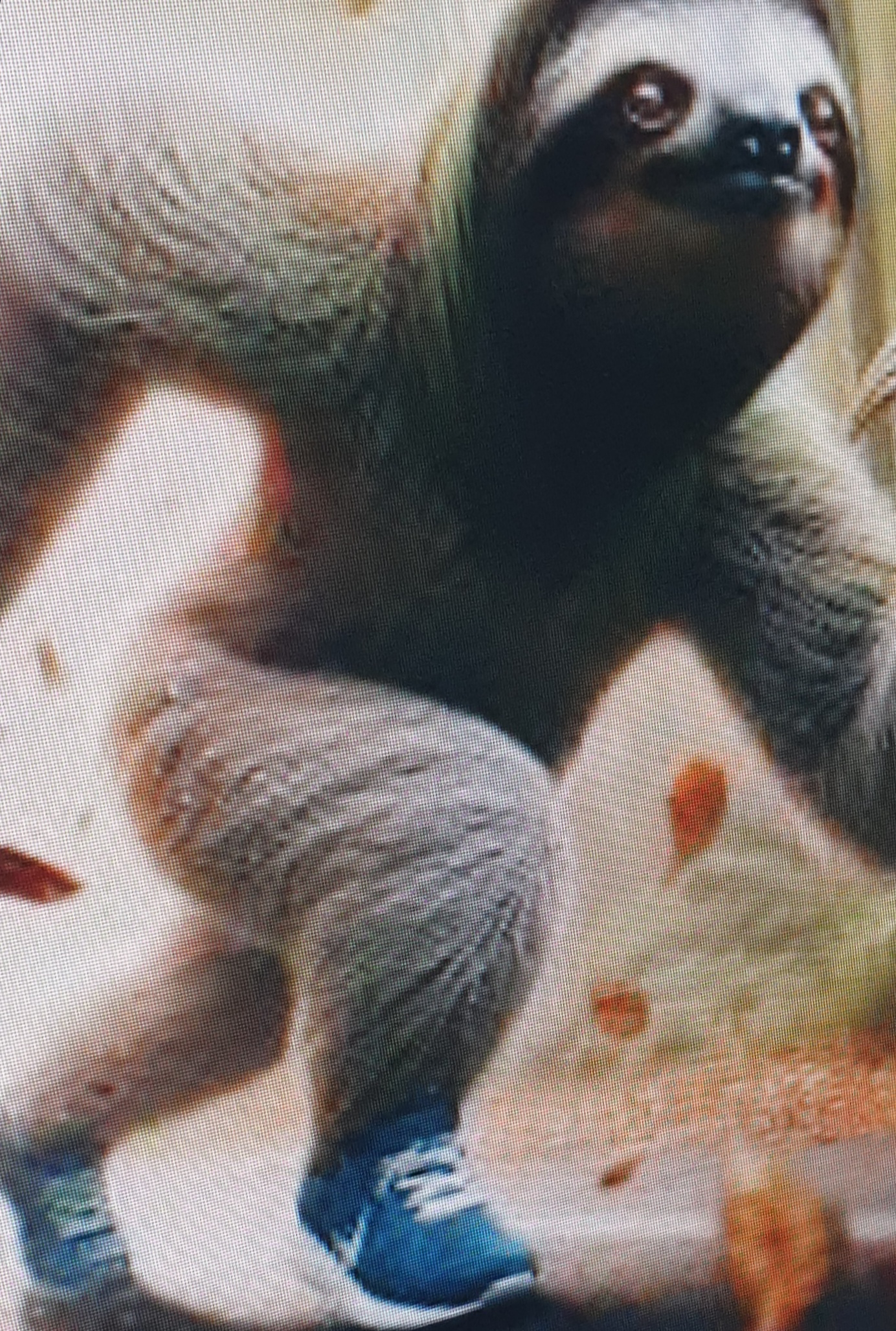 20250408_223756.jpg
