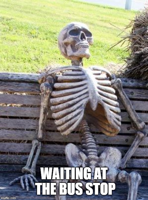 2vgx2j.jpeg