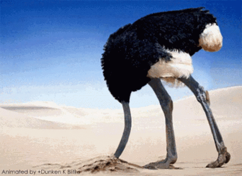 3B56D42A-B669-4490-B648-EDA3DAF287C3.gif