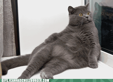 46f0b54b55d6e528dc33fbe184bbad0090d06920_hq.gif