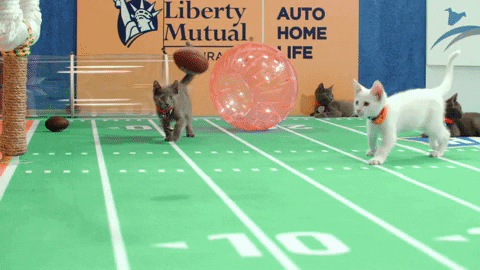 7564cfbc67a72cc891a910593d04dfc4e30aba83.gif