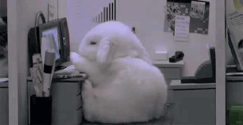 9474151.gif