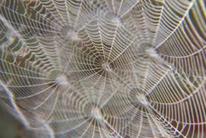 _20220509_135352.JPG