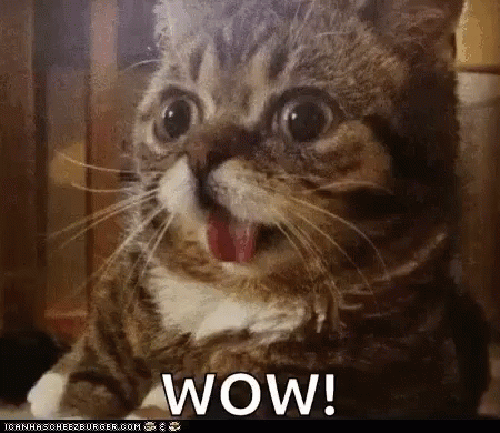 a88c2019fd3b265c434f08f9e41e26ce.gif