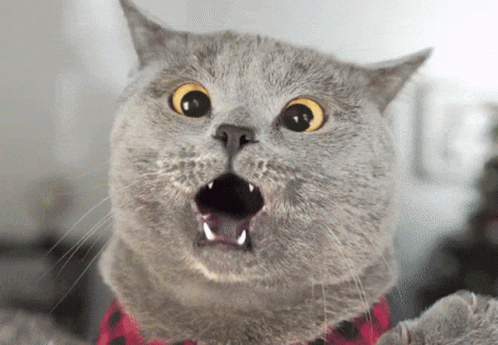 ac32a1df2c8fc837ff80ed7ba4e4039d.gif