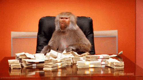 adult-swim-monkey.gif