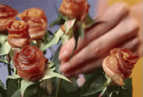 bacon-love.gif