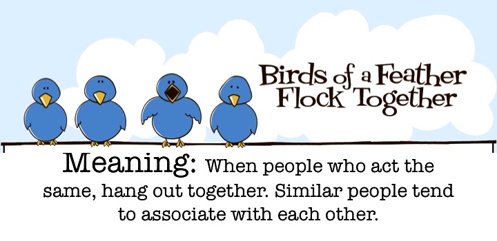 Birds of a Feather.jpg