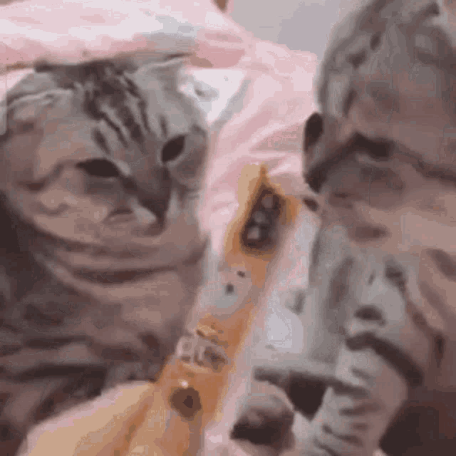 bluenathmade-blue-nath.gif