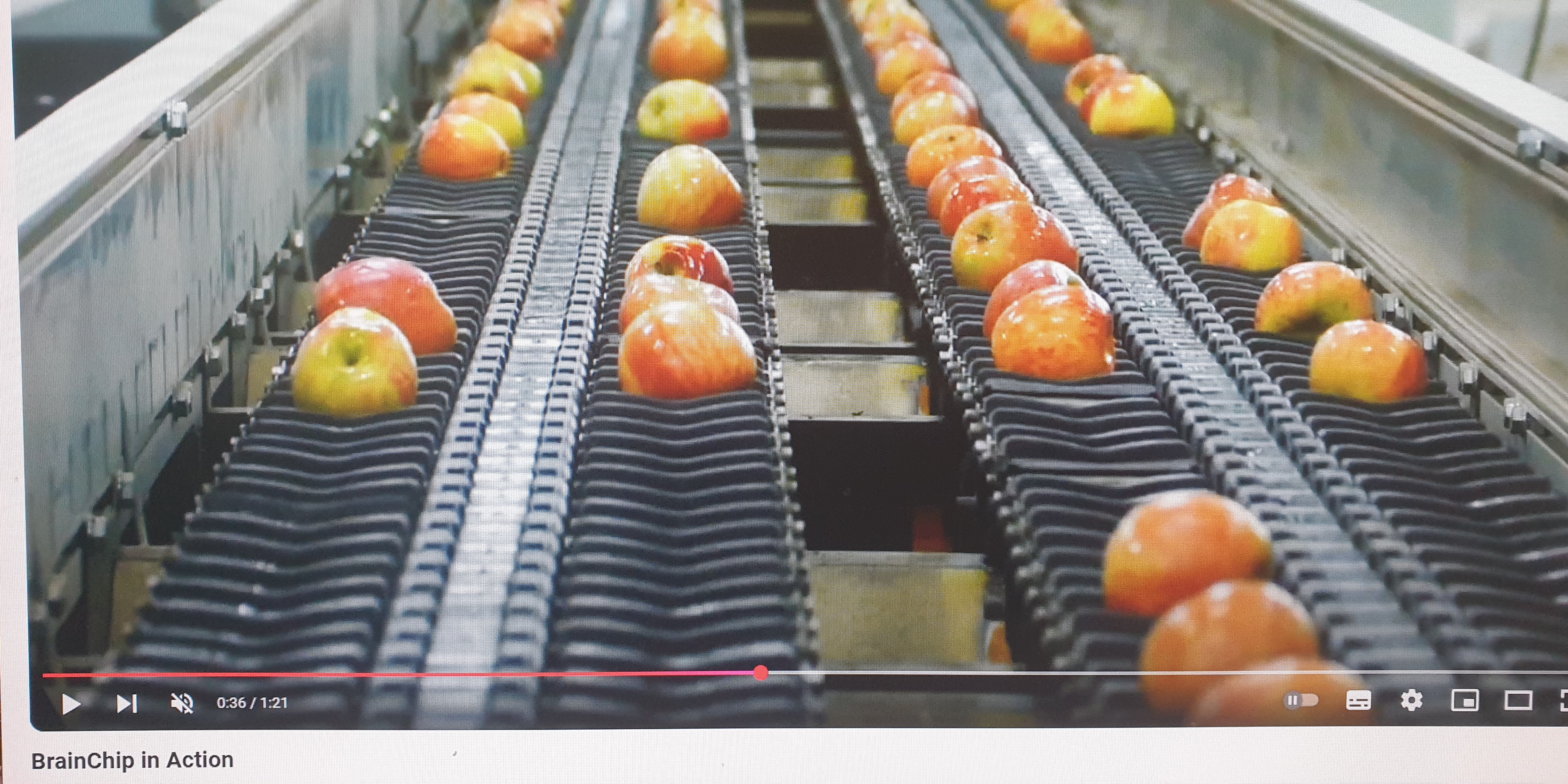Brainchip apples conveyor belt.jpg