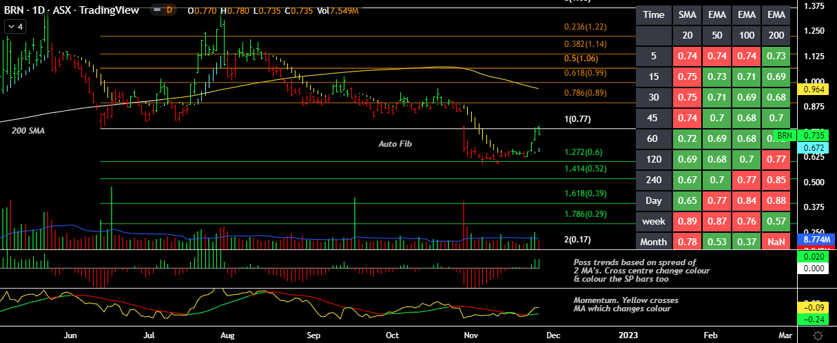 BRN D BAR FIB MTM.png