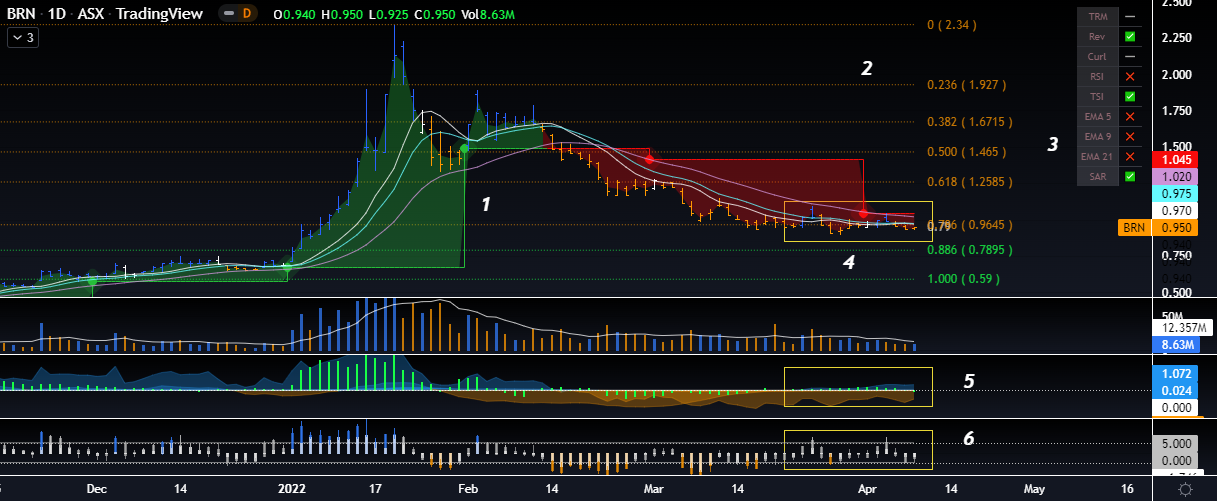 BRN D BAR FIB PIV 8.4.22.png