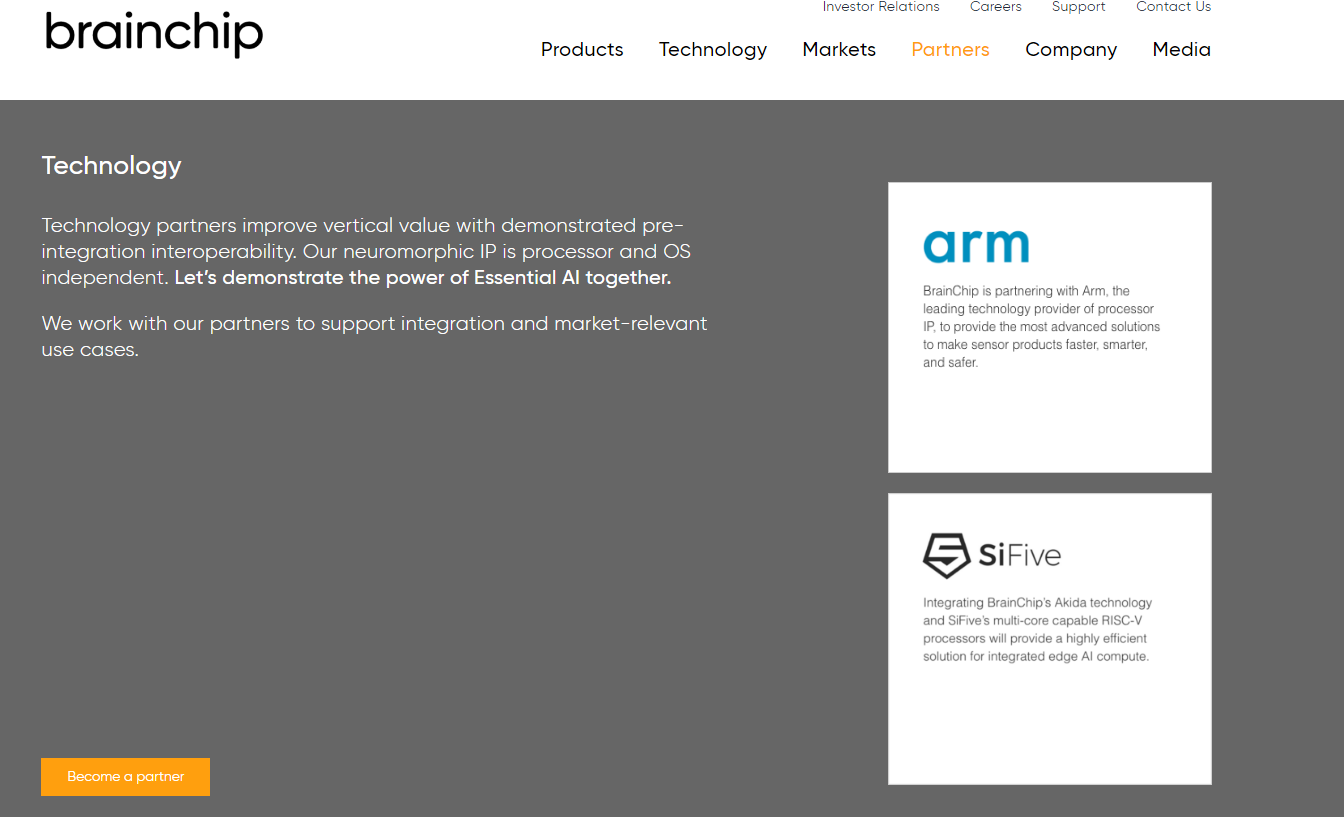 BRN Partners.PNG