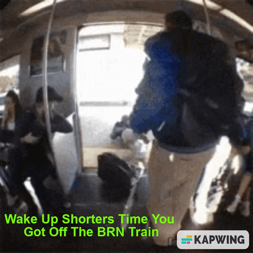 BRN TRAIN.gif