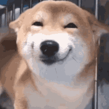 c39e8ca30f2388f7599c6ea3b4972485.gif