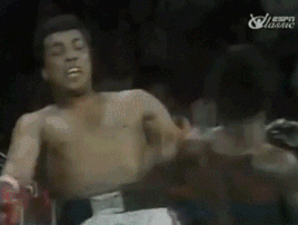 can_t catch me ali.gif