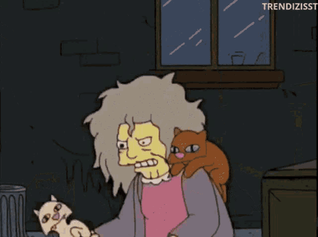 cat.gif