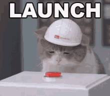 cat-launch.gif