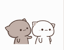 cat-love.gif