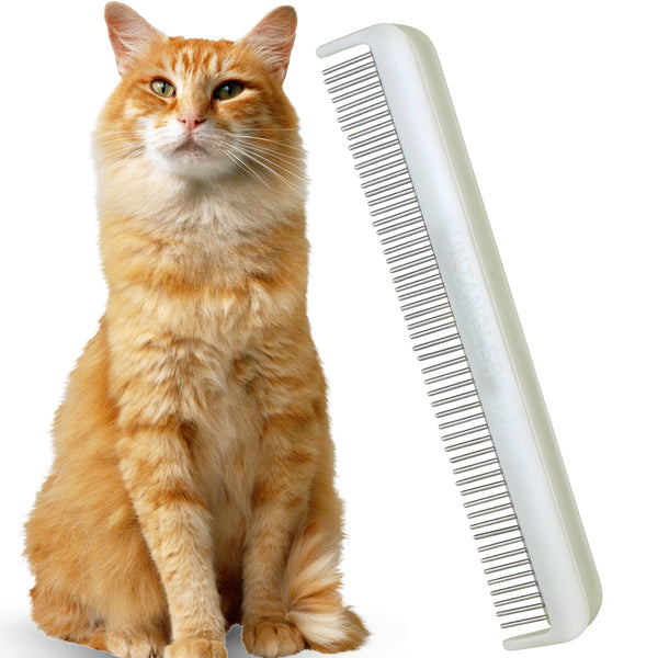 Cat01_grande.jpg