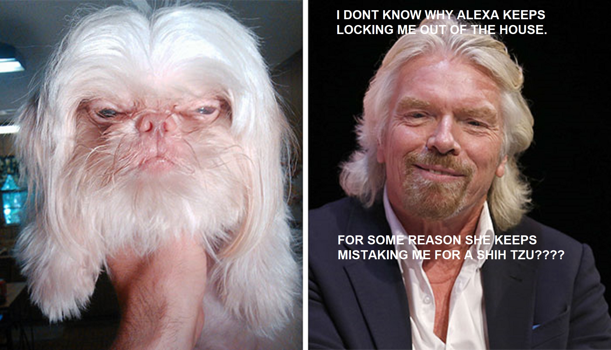 celebrity-look-alikes-animals-42__700.jpg
