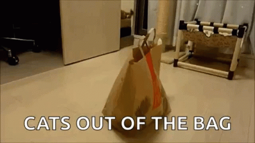 cute-paperbag.gif