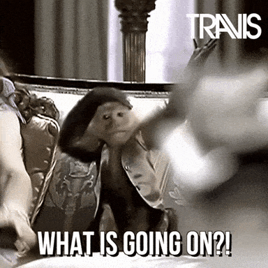 D432DC16-F27E-4010-9DFC-D21E2811A473.gif