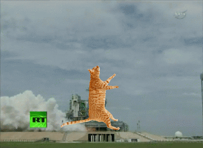 d4zsucd-9659d743-1dbe-4e4b-ba6a-3faeec231781.gif