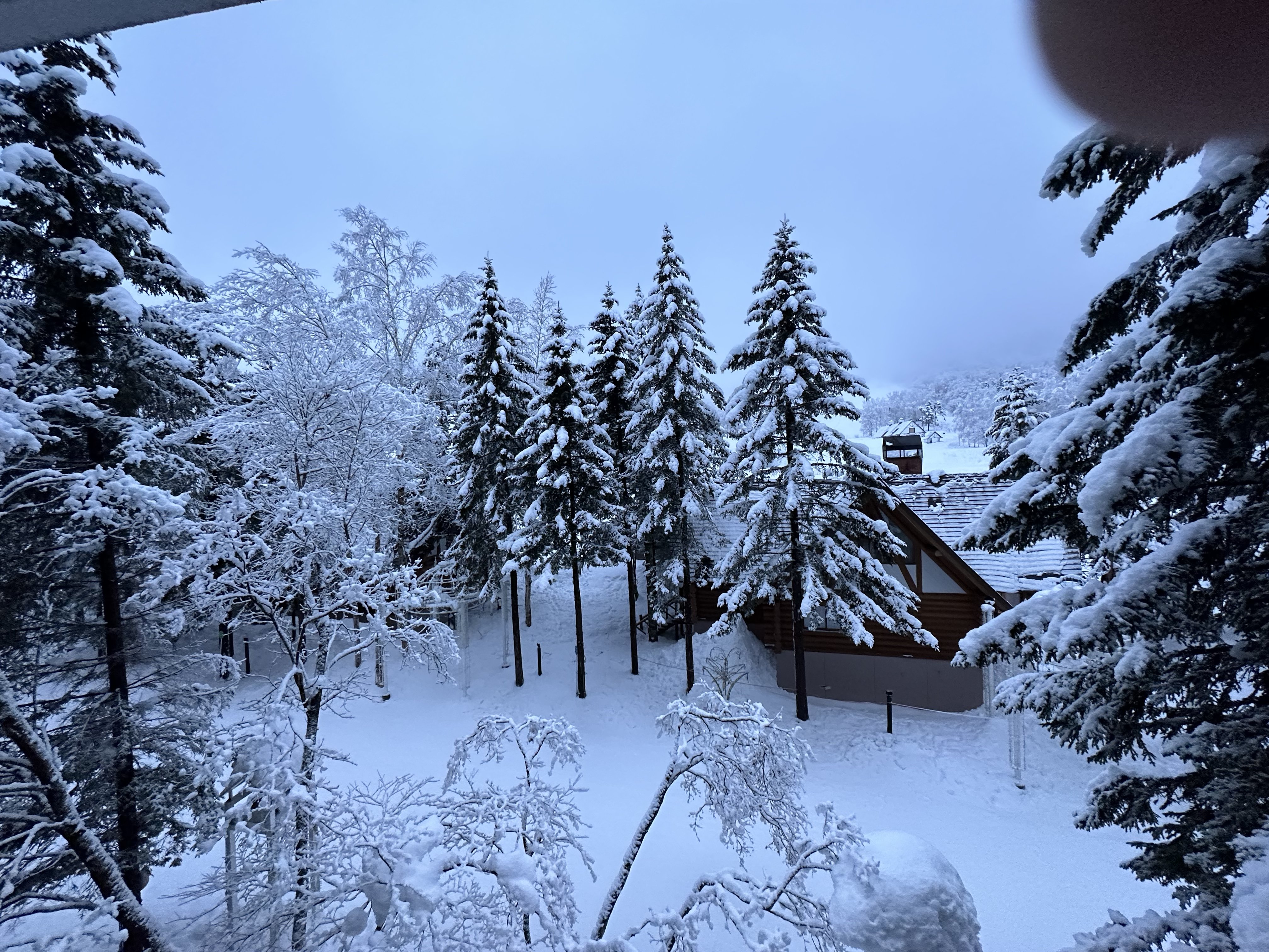 D64DA2E6-2C22-48DA-852D-BD3CC6B5ACCF.jpeg