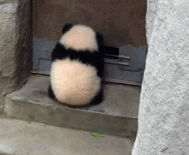 de9d9493e5c763bc7413cc9fdce8ed3f.gif