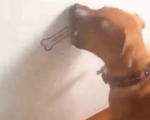 dog-lick.gif