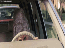 driving-slow-grandma.gif