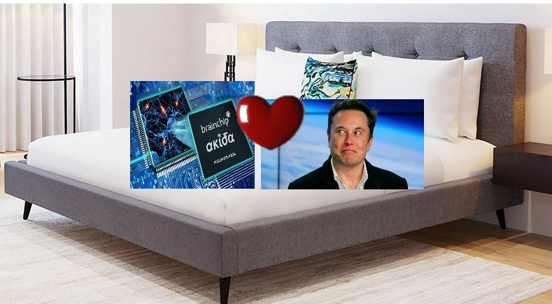elon in bed with brn bacon lover.jpg