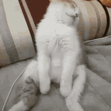 exhausted-tired.gif