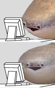 F26U1Z7W0AACn3d.jpg