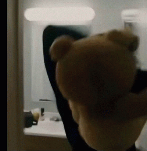 fighting-ted.gif
