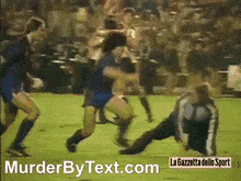 FlusteredHotFlyinglemur-max-1mb.gif