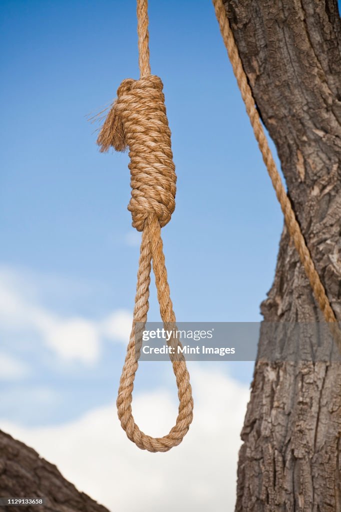 gettyimages-1129133658-1024x1024.jpg