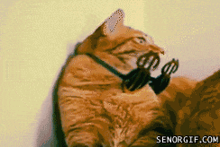 gif-ya-iz-rich-u-jelliez.gif