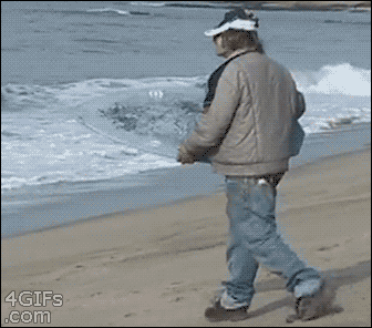 giphy (1).gif