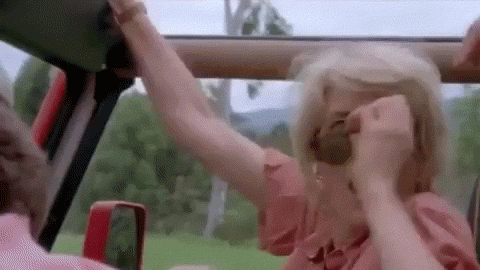 giphy (1).gif