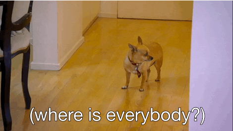 giphy (2).gif