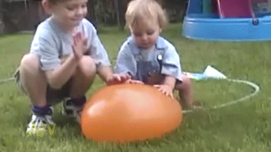 giphy-32.gif