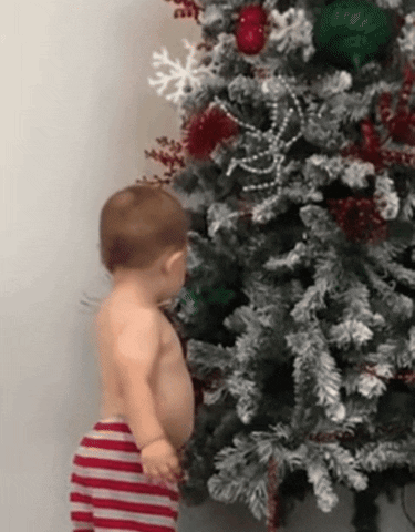 giphy.gif