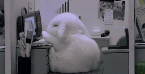 giphy6dhj.gif