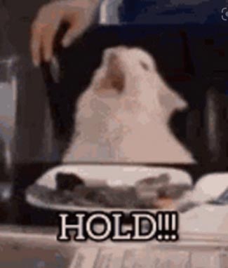 hold.jpg