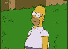 homer-simpson-homer.gif